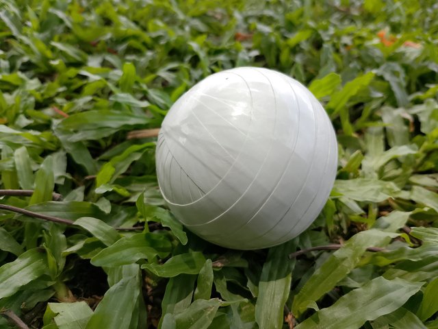 1000043799.jpg