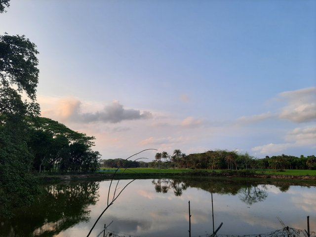 20230320_174144.jpg