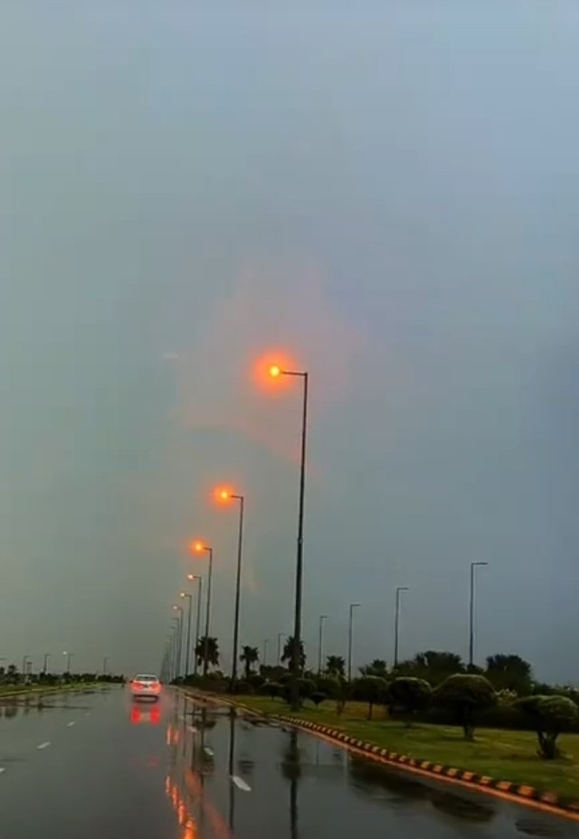 1744507002715.jpg