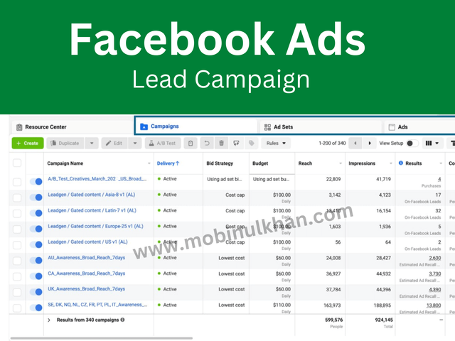 Facebook ads Lead Campaign.png