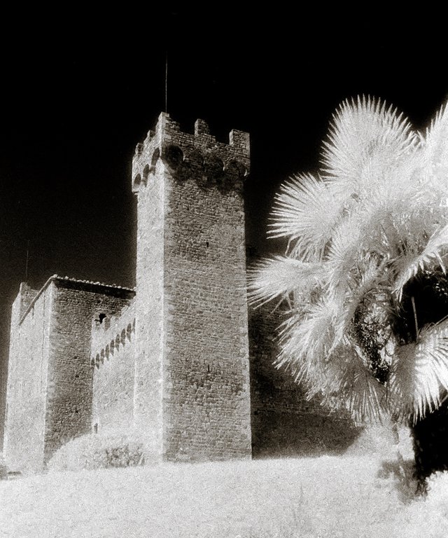 ir_ItalyCastle_palms_sep_crop.jpg