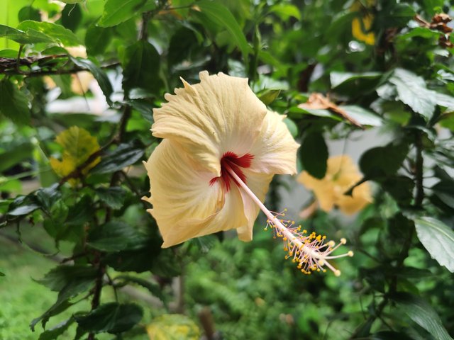 IMG_20250708_132806.jpg