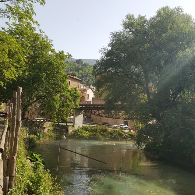 20190615_092423.jpg