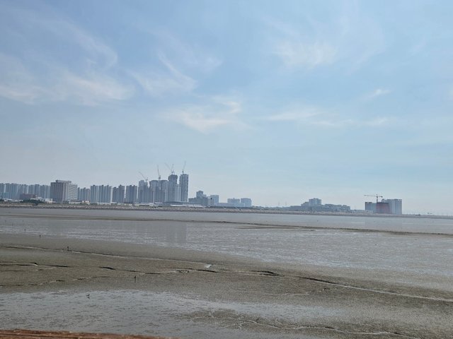 20250729_142054.jpg