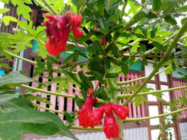 IMG_20250509_174841.jpg