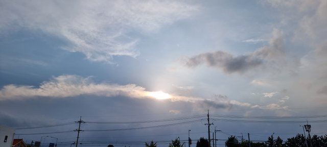 1000034104.jpg