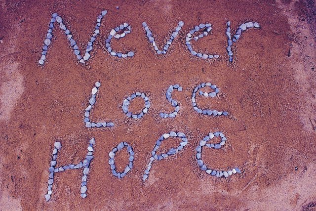 never-lost-hope-2636197_1280.jpg
