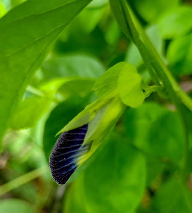 IMG20250703102426.jpg