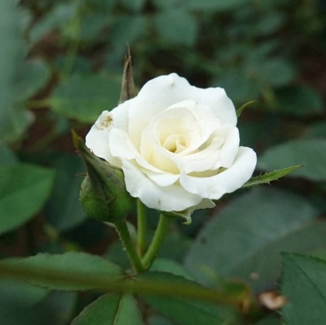 IMG_20250731_221505.jpg