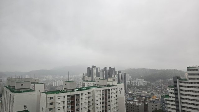 1000123533.jpg