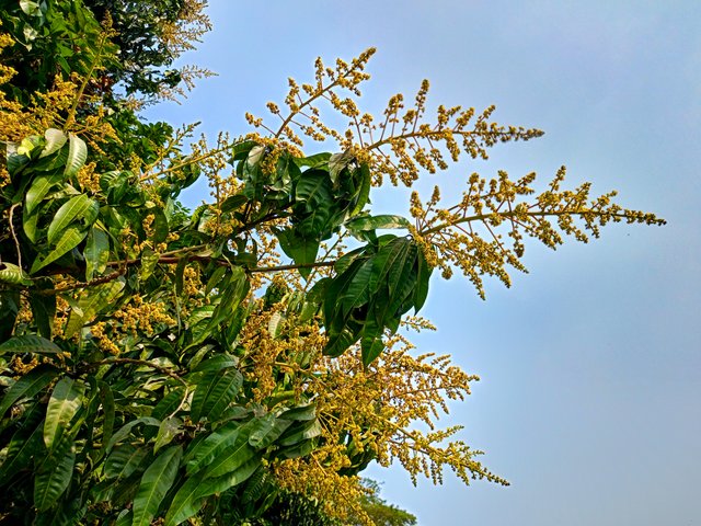 IMG20250203135520.jpg