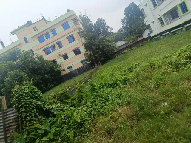 1000028946.jpg