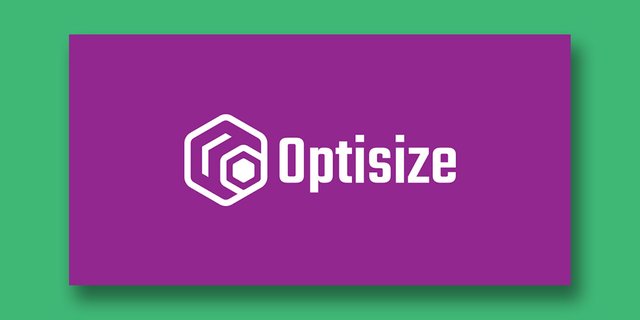 LOGO DESIGN_OPTISIZE PRESENTATION_7.jpg