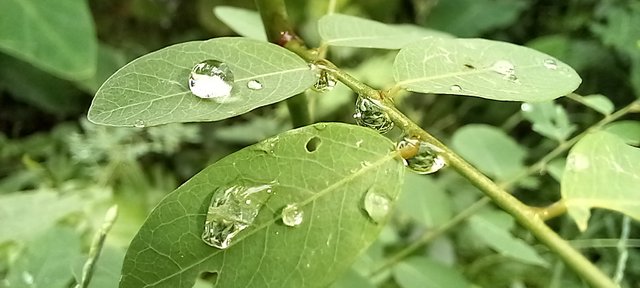 20250718_152109.jpg