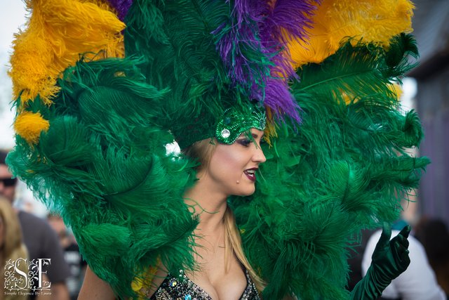 Mardi Gras Universal (21).jpg