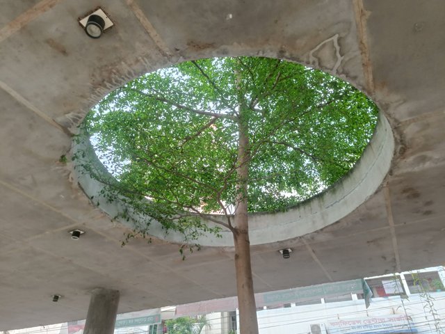IMG20250619164801.jpg