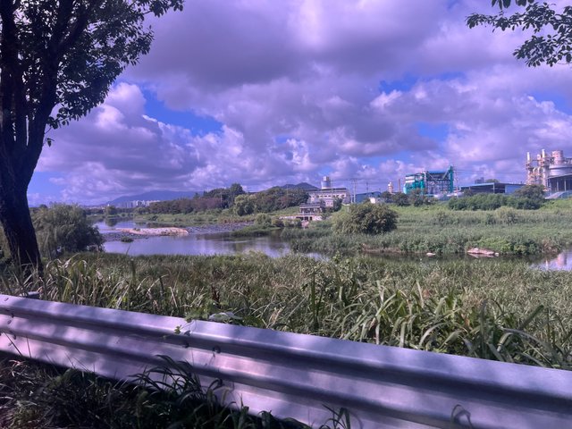 IMG_3805.jpeg