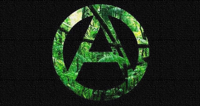 Anarchy-Jungle-Plants-1.jpg