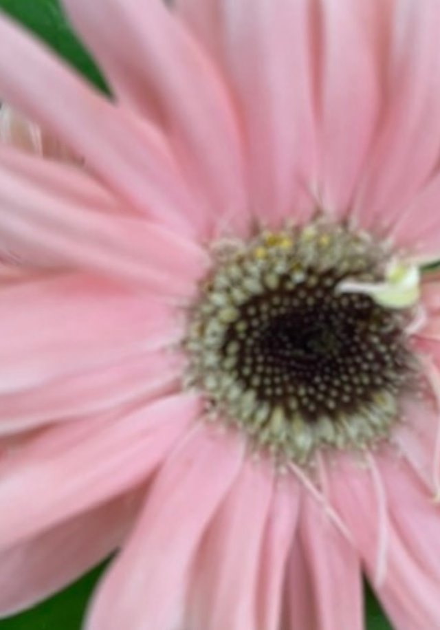 IMG_4813.jpeg