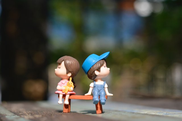 adorable-bench-blurred-background-1767434.jpg