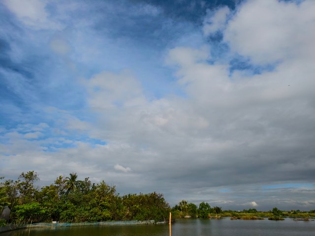 IMG_20250317_081942 (1).jpg