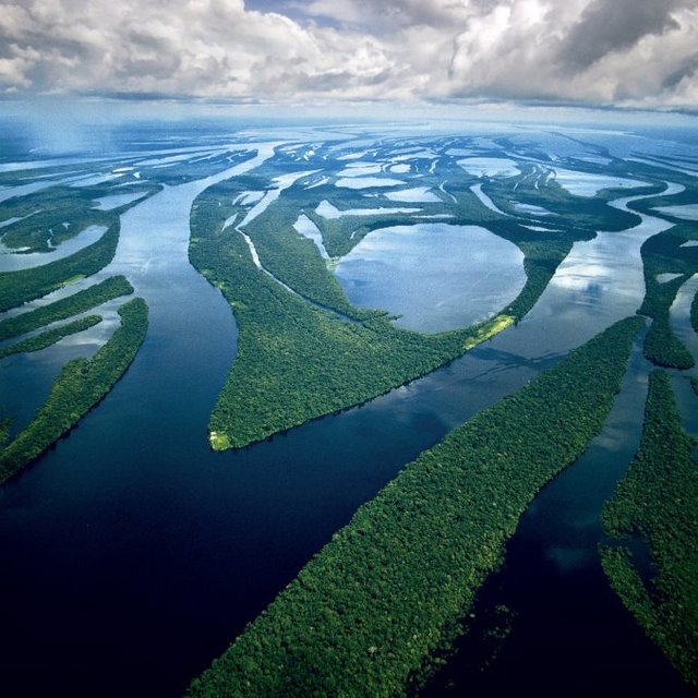 Río-Amazonas-51.jpg