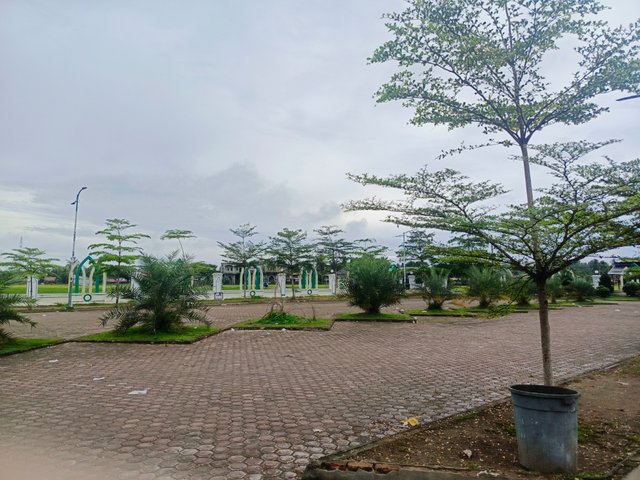 IMG_20250407_102522_449.jpg