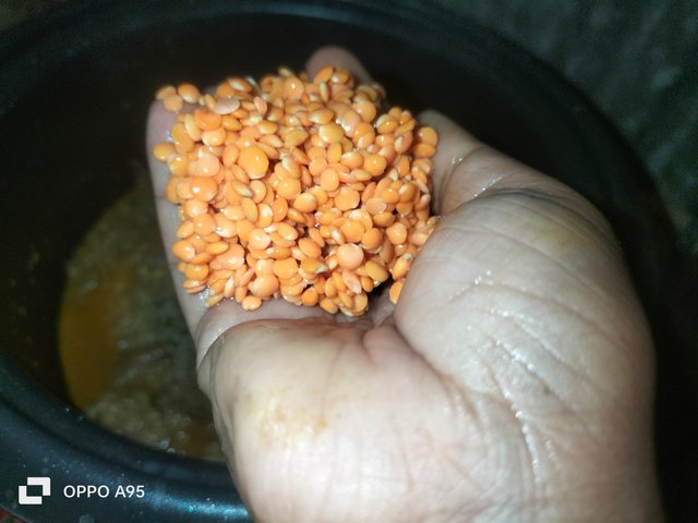 IMG20250309104230.jpg
