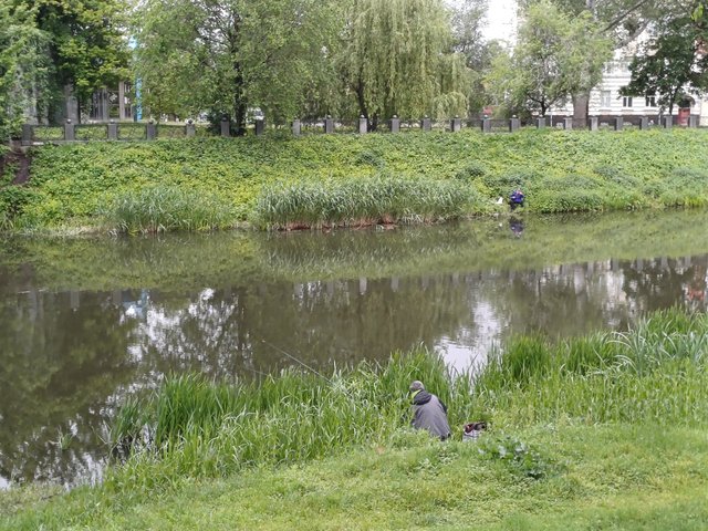 20250518_074016.jpg