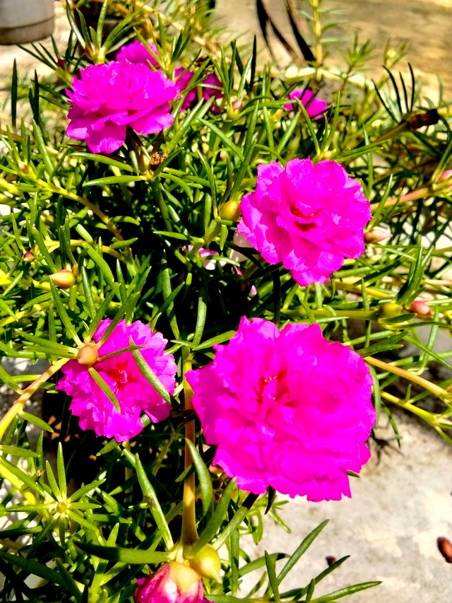 IMG20250525100841.jpg