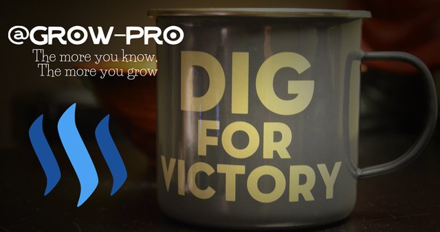 dig-for-victory-grow-pro.jpg