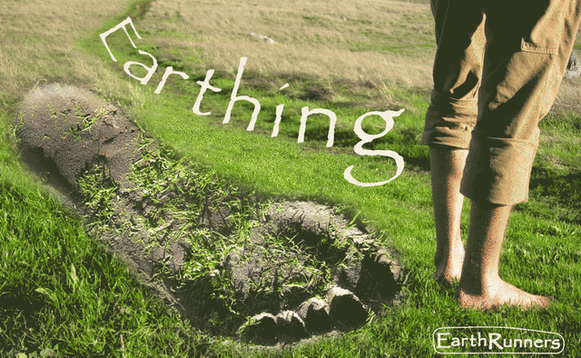 Earthing 01.png