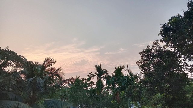 IMG_20250403_075653_723.jpg