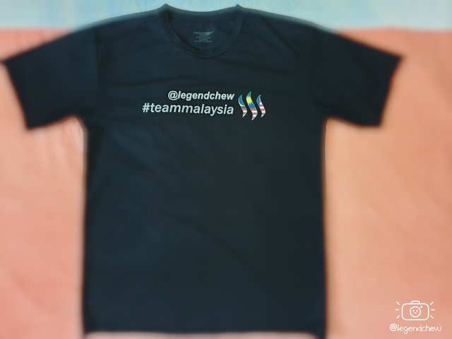 legendchew-teammalaysia-t-shirt (3).jpg