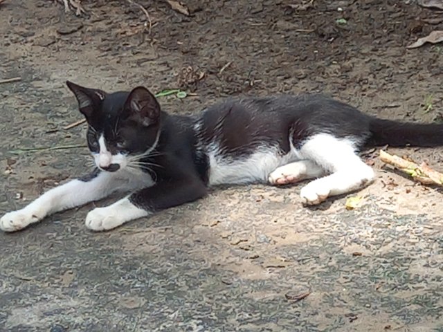 20250602_113409.jpg