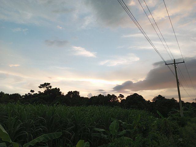 IMG_20250816_182913_117.jpg