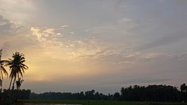 IMG20241221180227.jpg