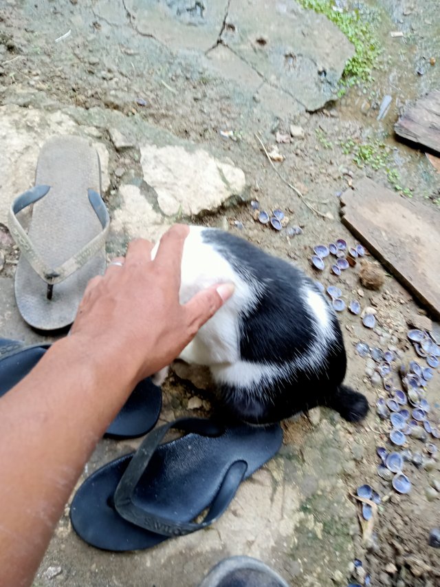 IMG20231024161350.jpg