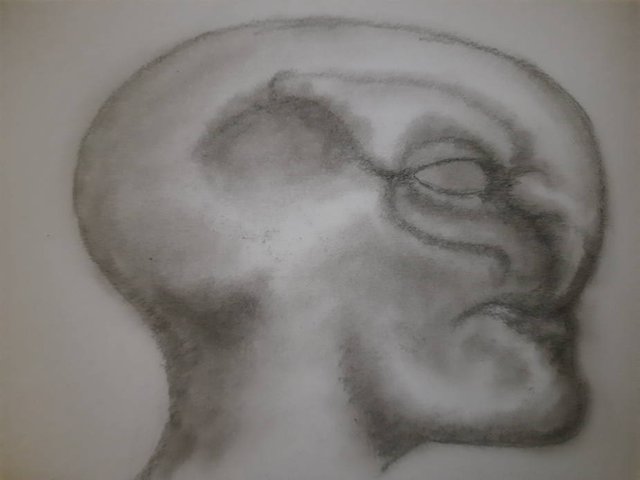 20250822_103727.jpg