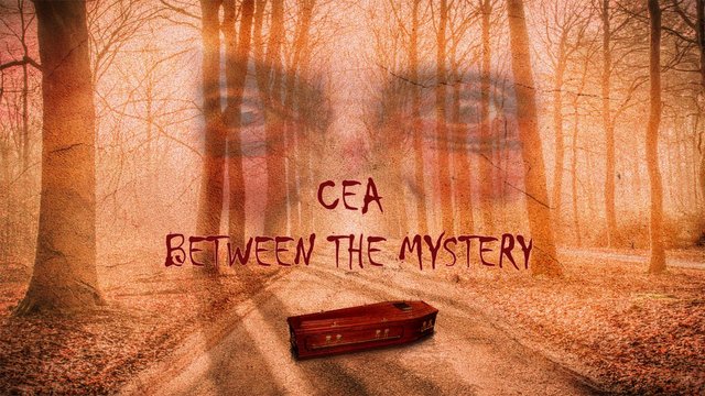 CEA Between the Mystery poster.jpg