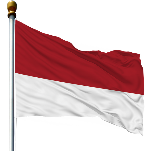 —Pngtree—indonesia national flag waving flag_3881375.png