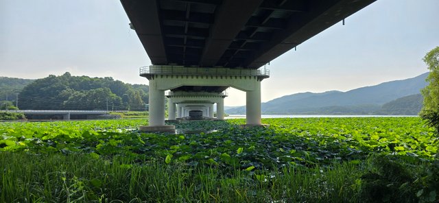 KakaoTalk_20240816_230018598_11.jpg