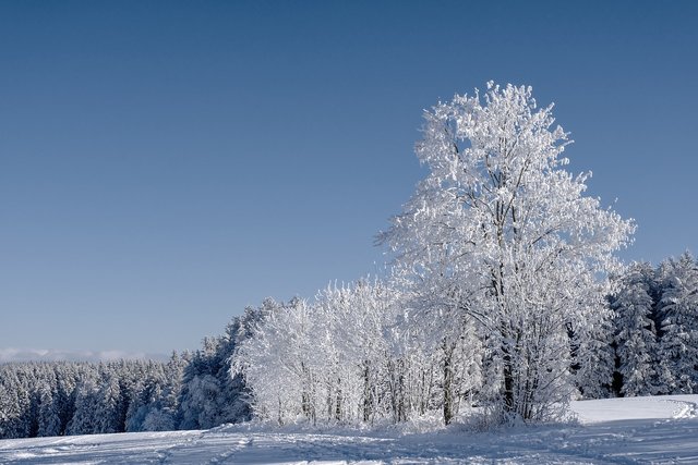 winter-5983671_1280.jpg