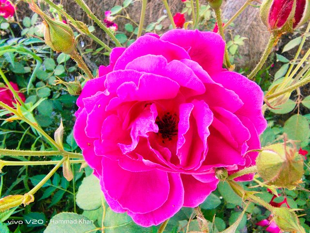IMG_20220405_132529.jpg