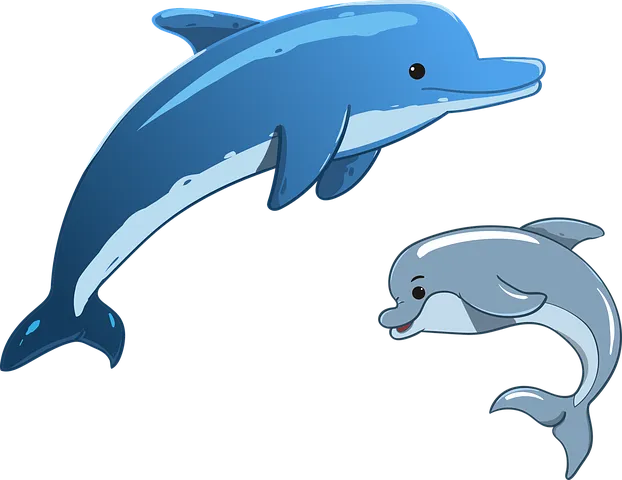 dolphin-3321762__480.webp