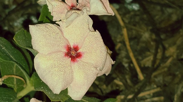 20241210_021754.jpg