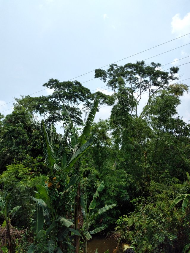 20250609_114909.jpg