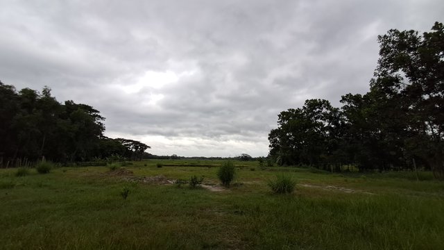 20240526_175554.jpg