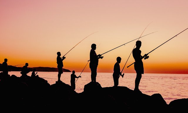 fishing-4933219_1280.jpg
