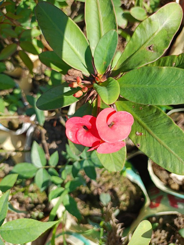 IMG20241120111507.jpg